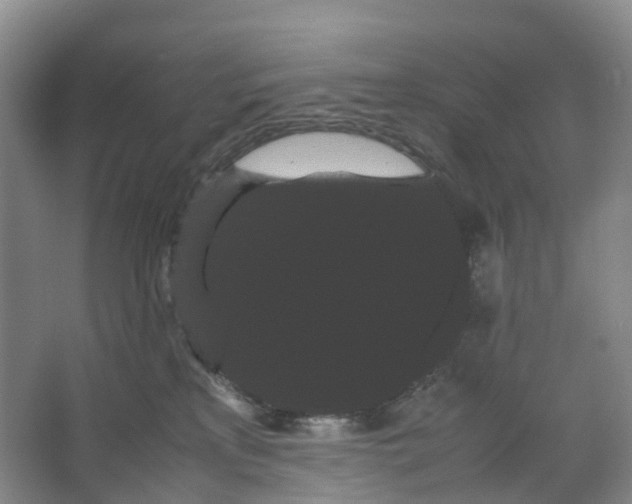 X0000066500233200604141730