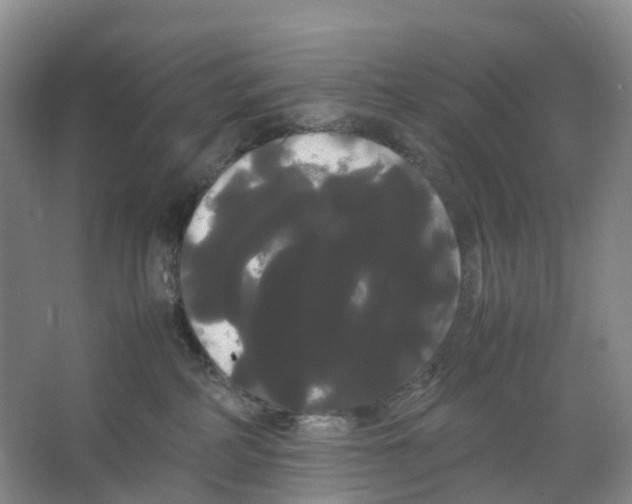 X0000066500234200604141730