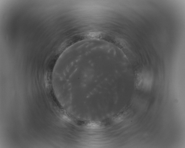 X0000066500236200604141730