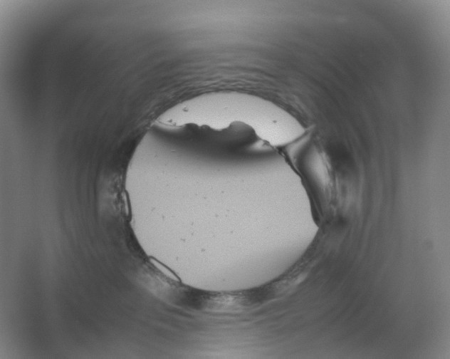 X0000066500237200604141730