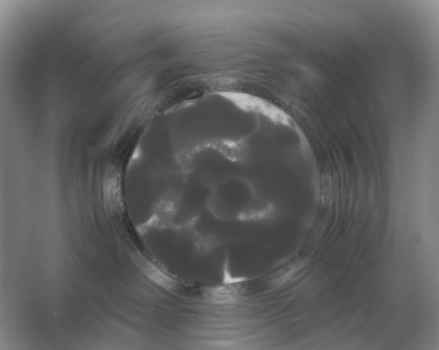 X0000066500238200604141730