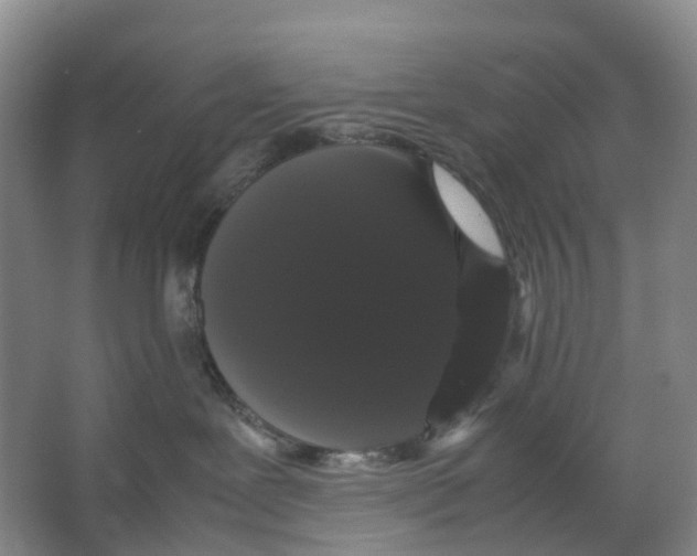 X0000066500239200604141730