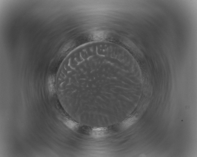 X0000066500240200604141730