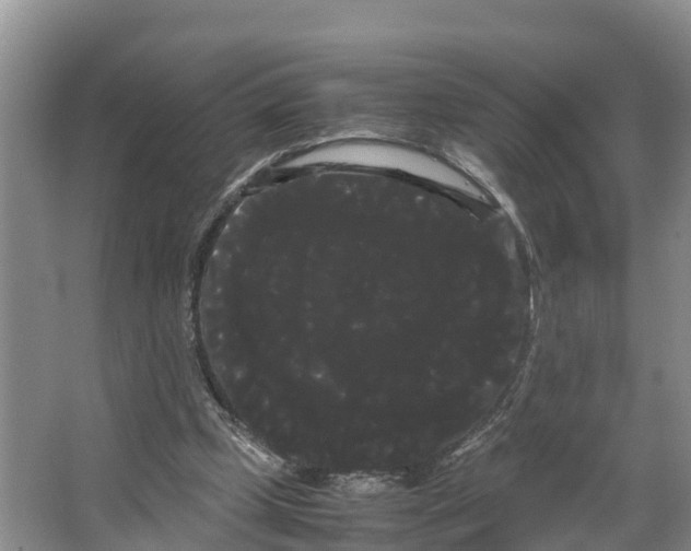 X0000066500249200604141730