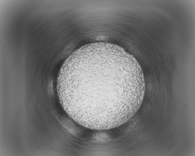 X0000066500262200604141730