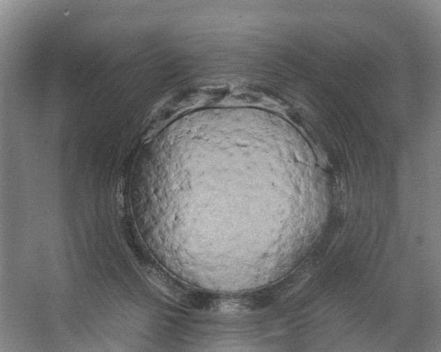 X0000066500264200604141730