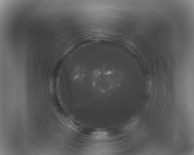 X0000066500266200604141730