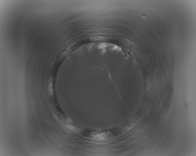 X0000066500267200604141730