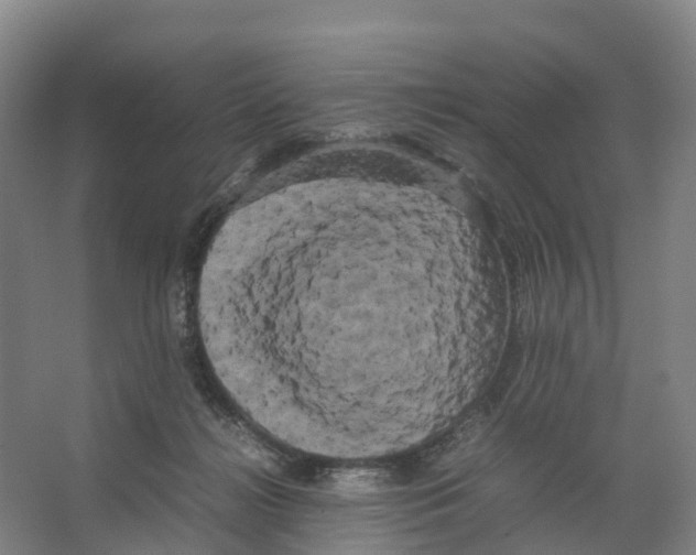 X0000066500268200604141730