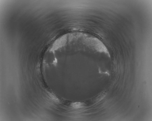 X0000066500269200604141730