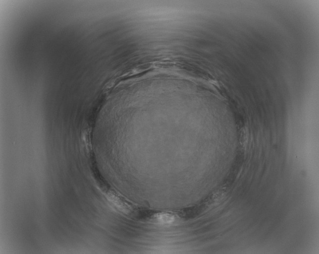 X0000066500272200604141730