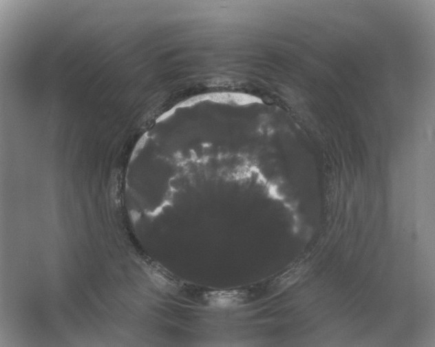 X0000066500273200604141730