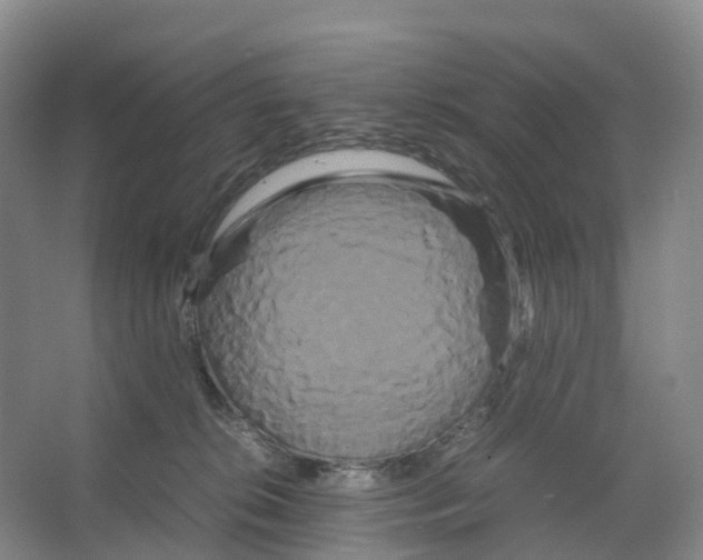 X0000066500276200604141730