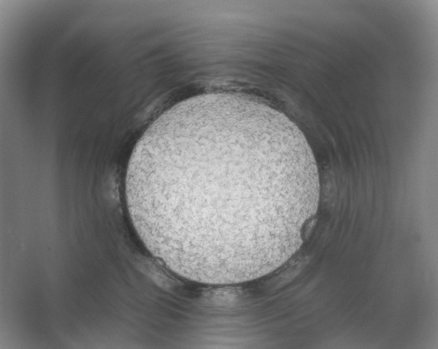X0000066500282200604141730