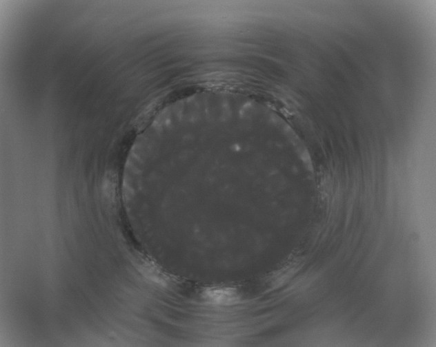 X0000066500283200604141730
