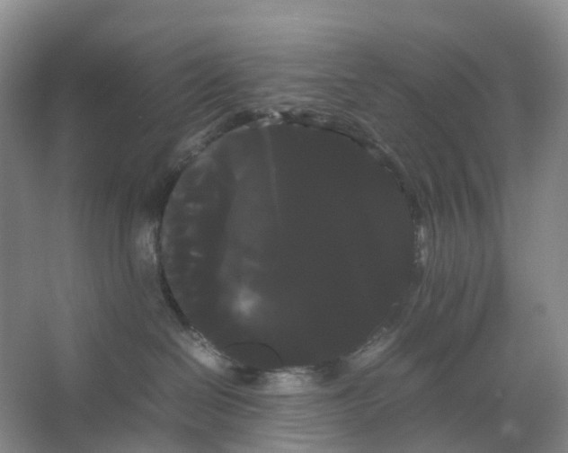 X0000066500286200604141730