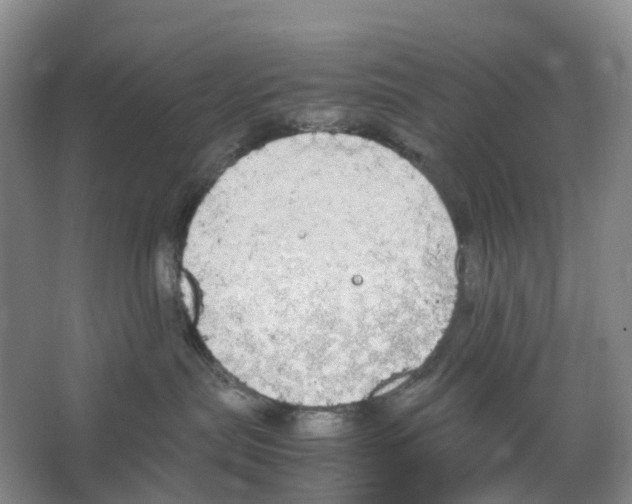 X0000066500287200604141730