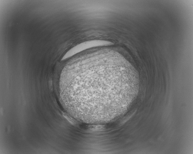 X0000066500288200604141730