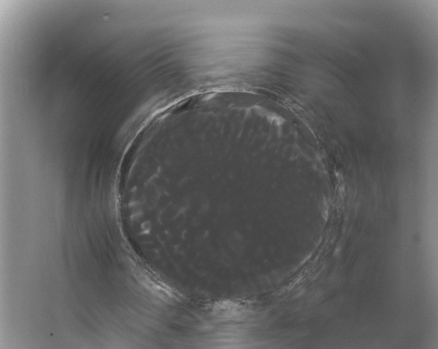 X0000066500290200604141729