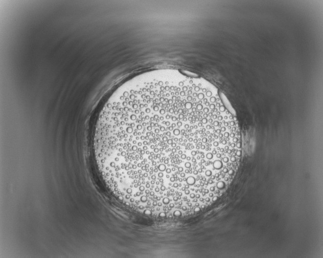 X0000066500291200604141729