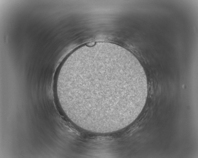 X0000066500292200604141729