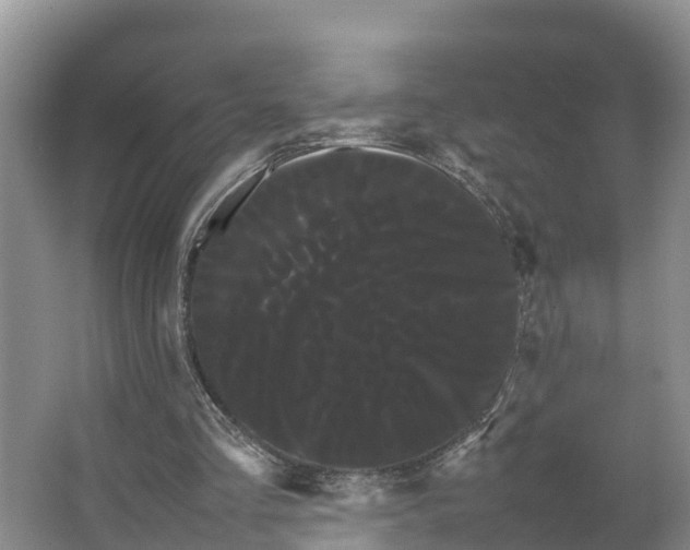 X0000066500293200604141729