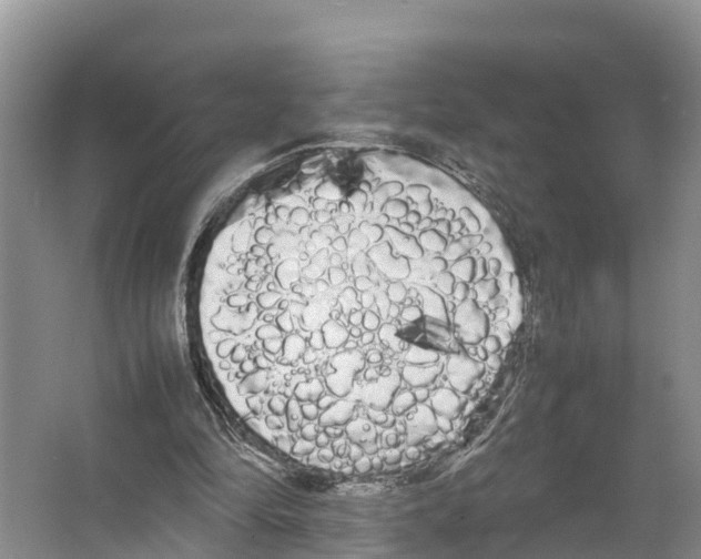 X0000066500294200604141729