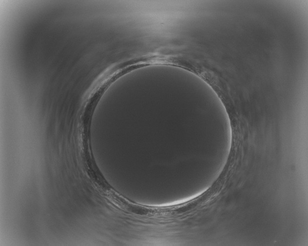X0000066500295200604141729