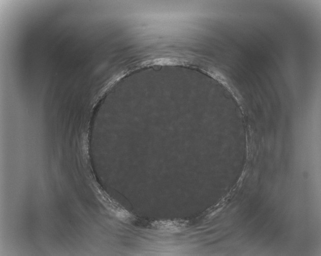 X0000066500297200604141729