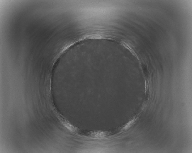 X0000066500301200604141729
