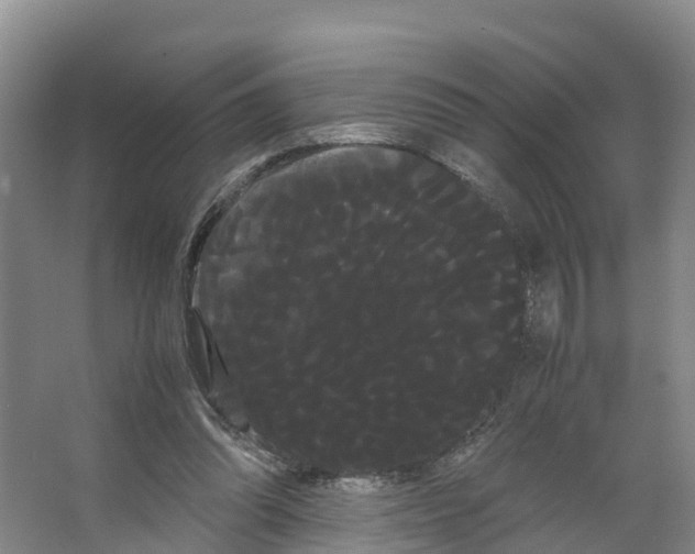 X0000066500302200604141729