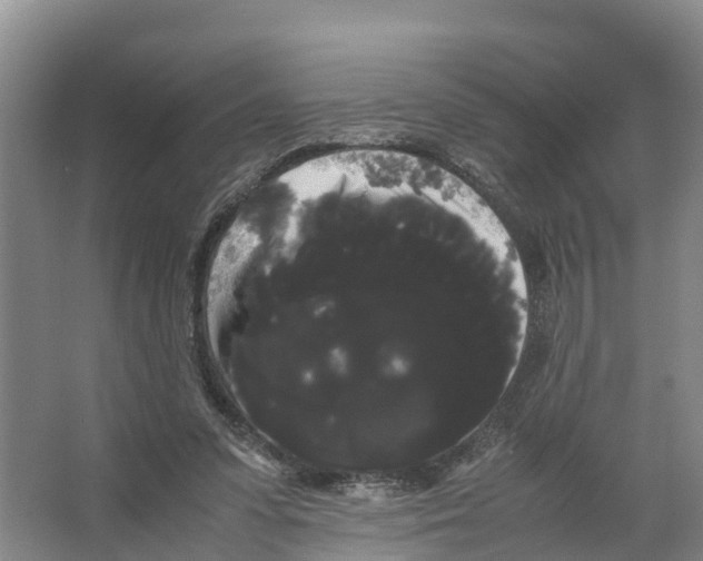X0000066500303200604141729