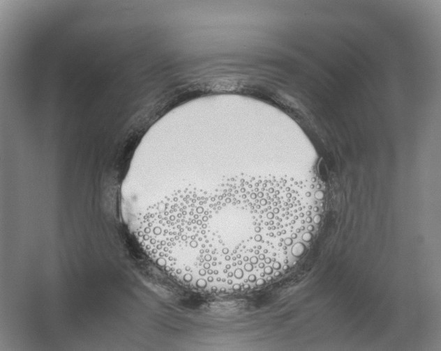 X0000066500307200604141729