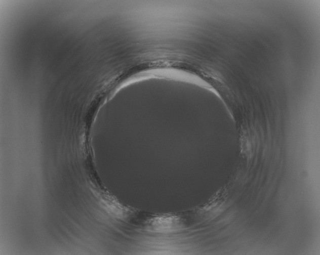 X0000066500314200604141729