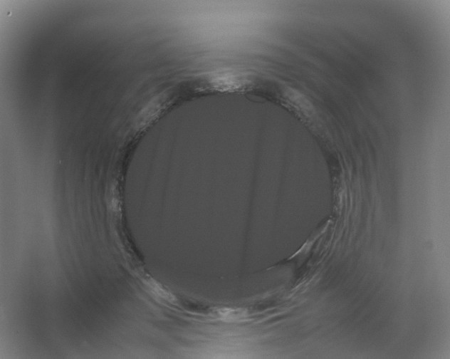 X0000066500317200604141729