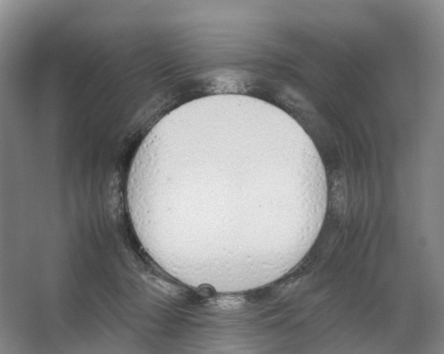 X0000066500318200604141729