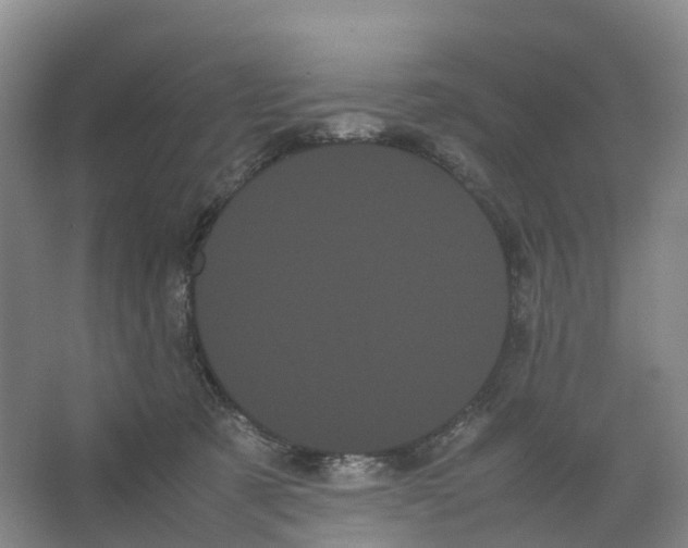 X0000066500321200604141729