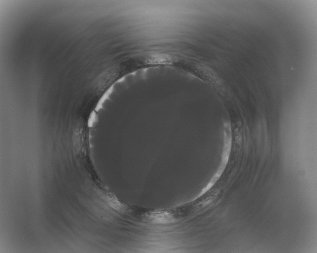 X0000066500322200604141729