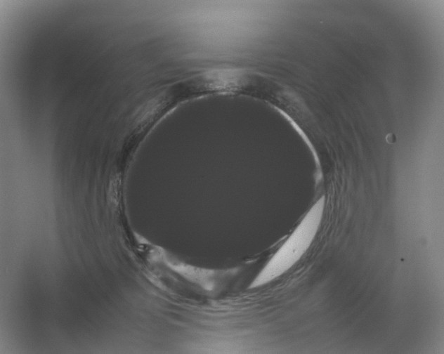 X0000066500325200604141729