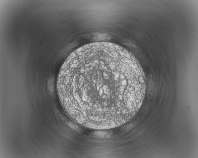 X0000066500326200604141729