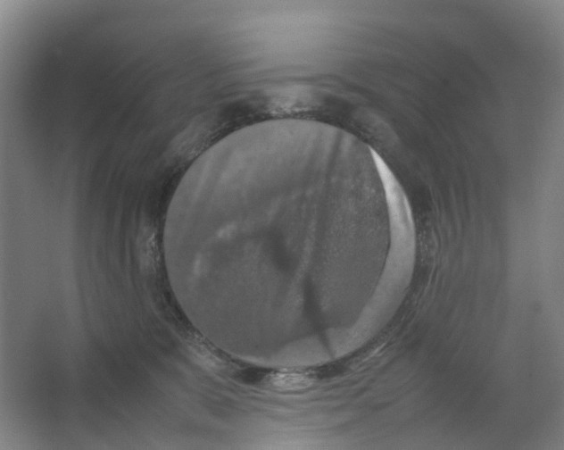 X0000066500327200604141729