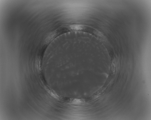 X0000066500330200604141729