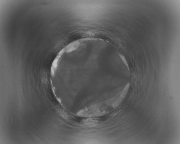 X0000066500331200604141729