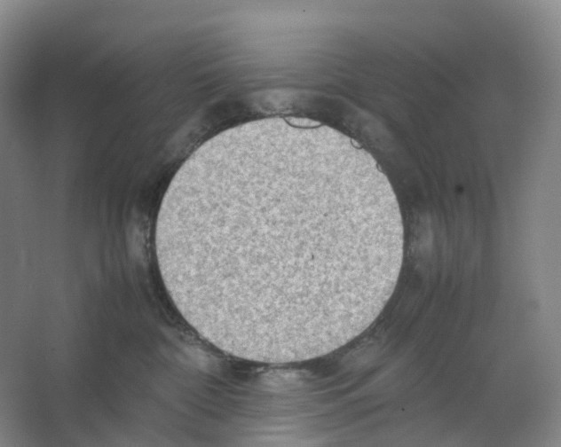 X0000066500332200604141729