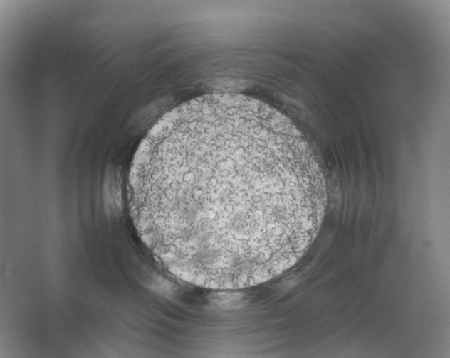 X0000066500334200604141729