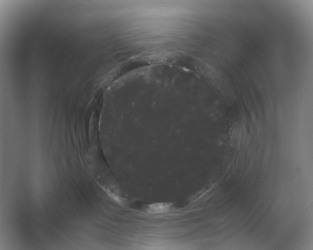 X0000066500335200604141729