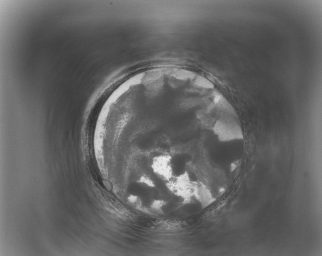 X0000066500343200604141728