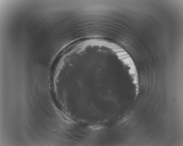 X0000066500351200604141728