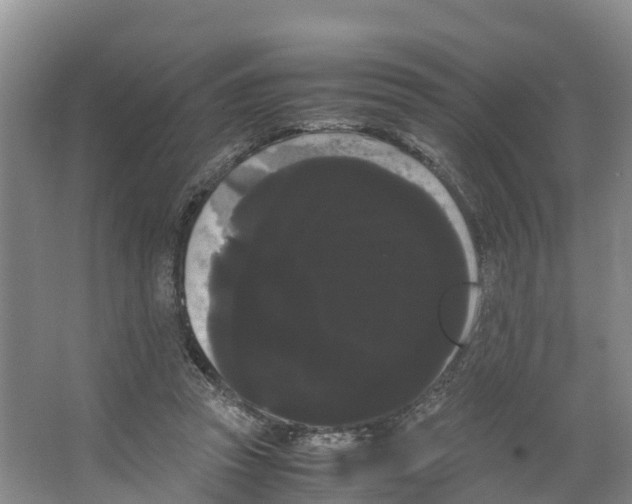 X0000066500353200604141728