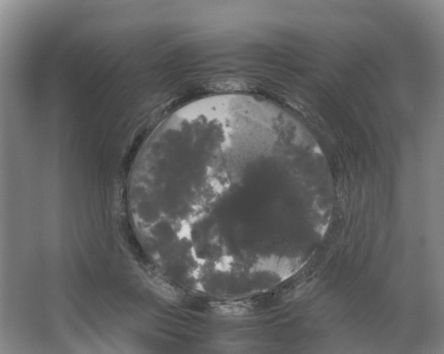 X0000066500359200604141728